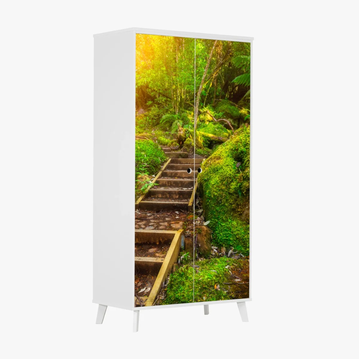 Wardrobe sticker mossy rainforest path on Tasman Peninsula • Wallissimo® Wardrobe sticker mossy rainforest path on Tasman Peninsula • Wallissimo®