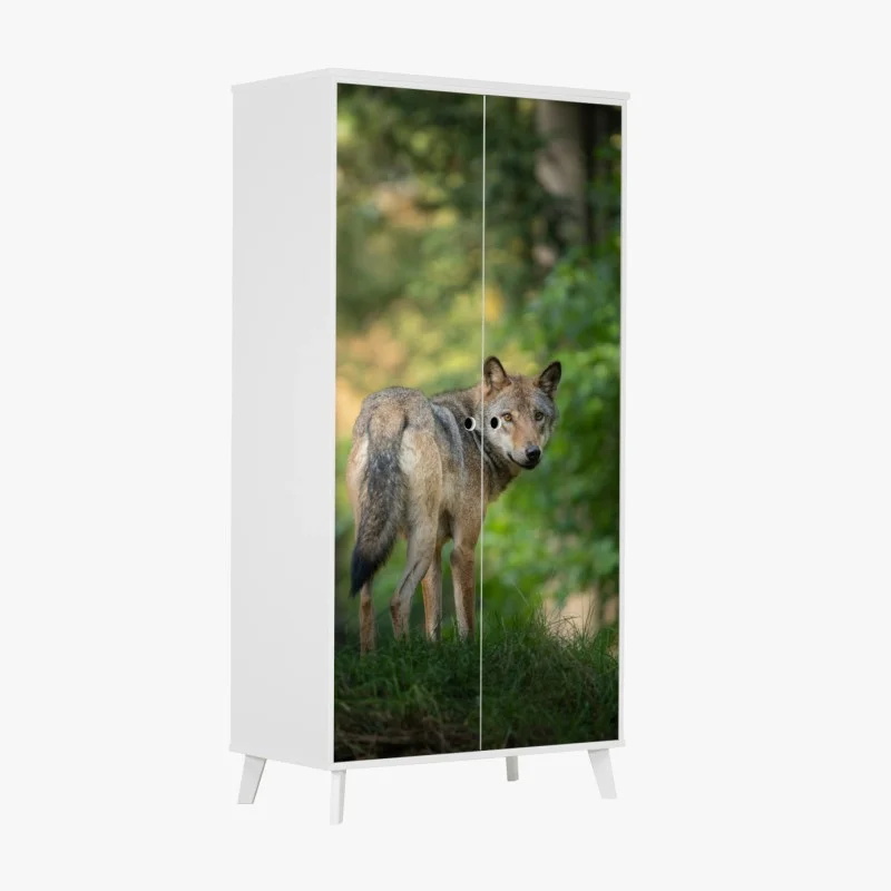 Wardrobe sticker wolf gazing in a forest
