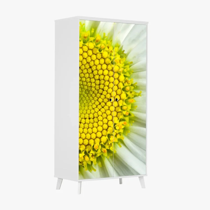 Wardrobe sticker shasta daisy macro spiral