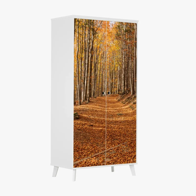 Wardrobe sticker autumn forest path with golden leaves