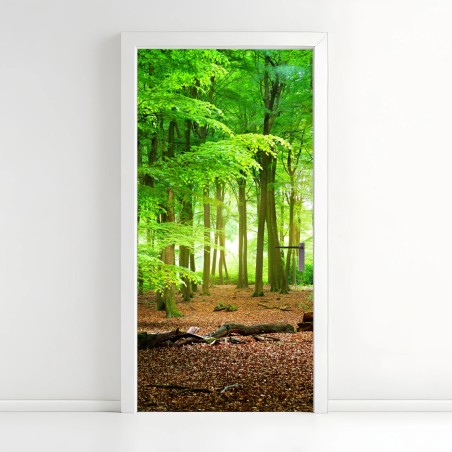 Door sticker sunlit green forest • Wallissimo®