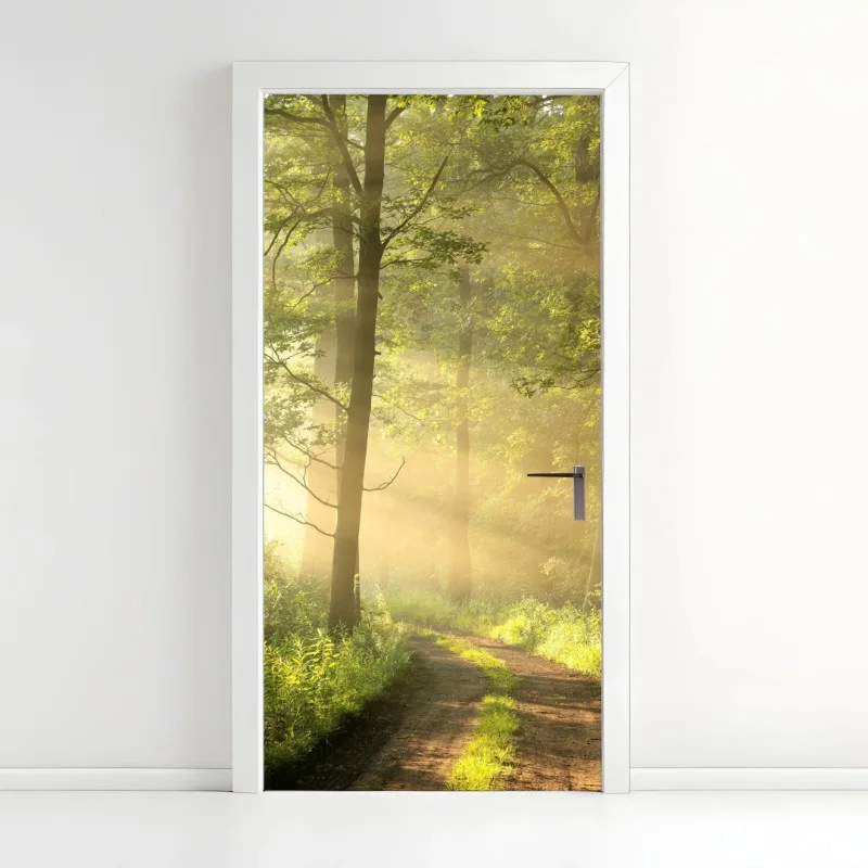 Door sticker morning light in a sunlit forest