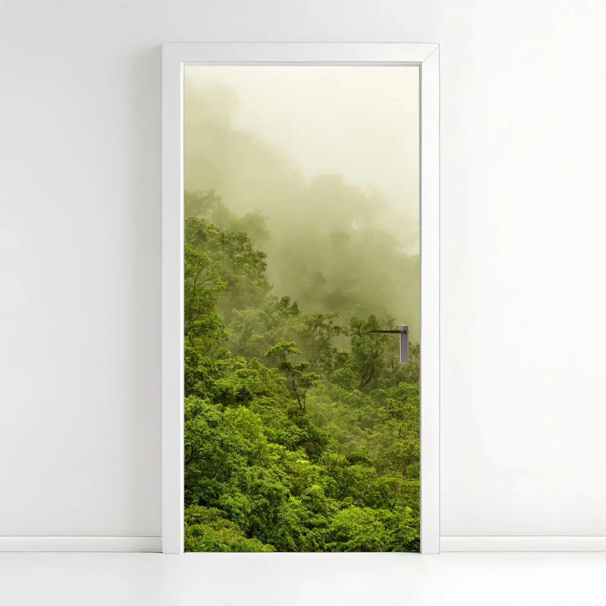 Door sticker misty rainforest near Cairns ⁕ Wallissimo® Door sticker misty rainforest near Cairns ⁕ Wallissimo®