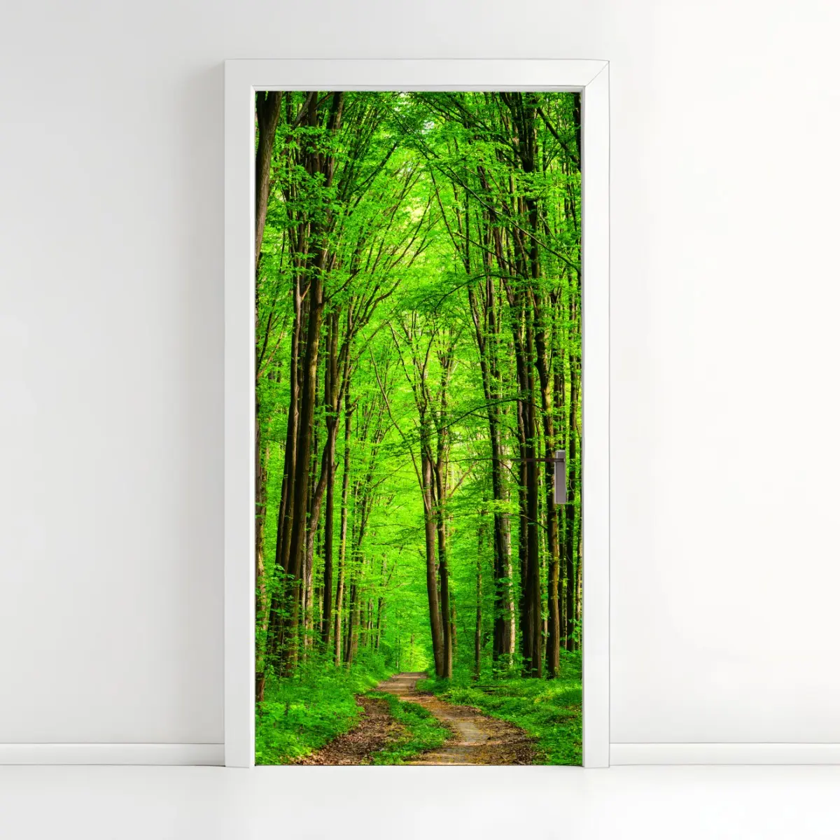 Door sticker lush green forest pathway • Wallissimo® Door sticker lush green forest pathway • Wallissimo®