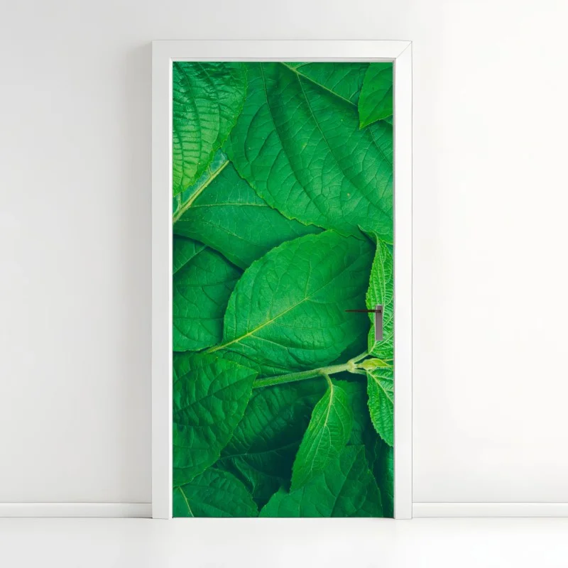 Door sticker • Wallissimo®