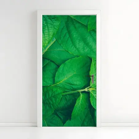 Door sticker lush green leaves texture • Wallissimo®