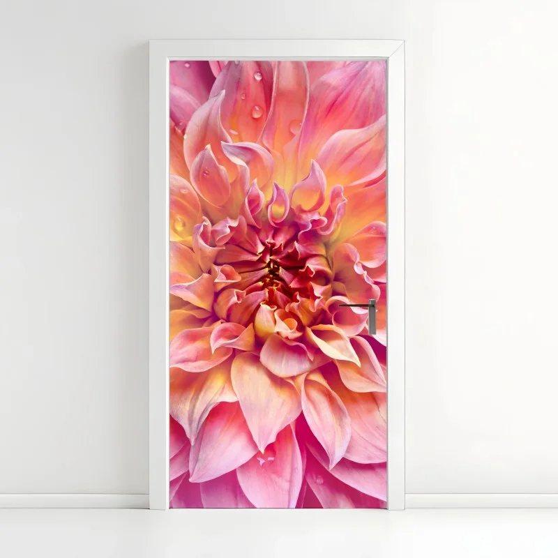 Door sticker pink dahlia bloom close-up