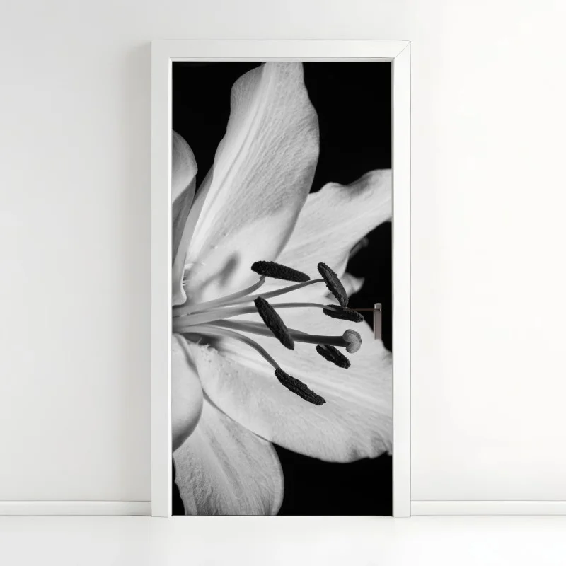 Door sticker monochrome lily close-up