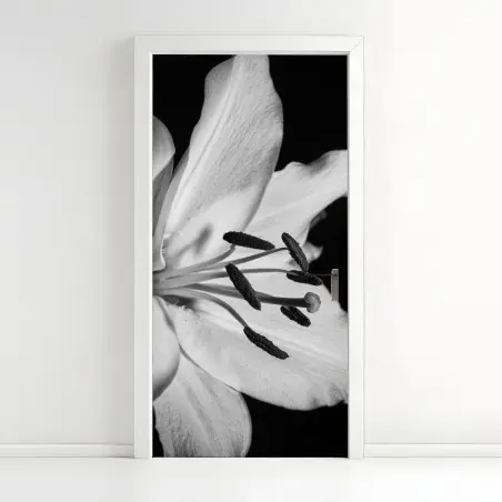 Door sticker monochrome lily close-up • Wallissimo®