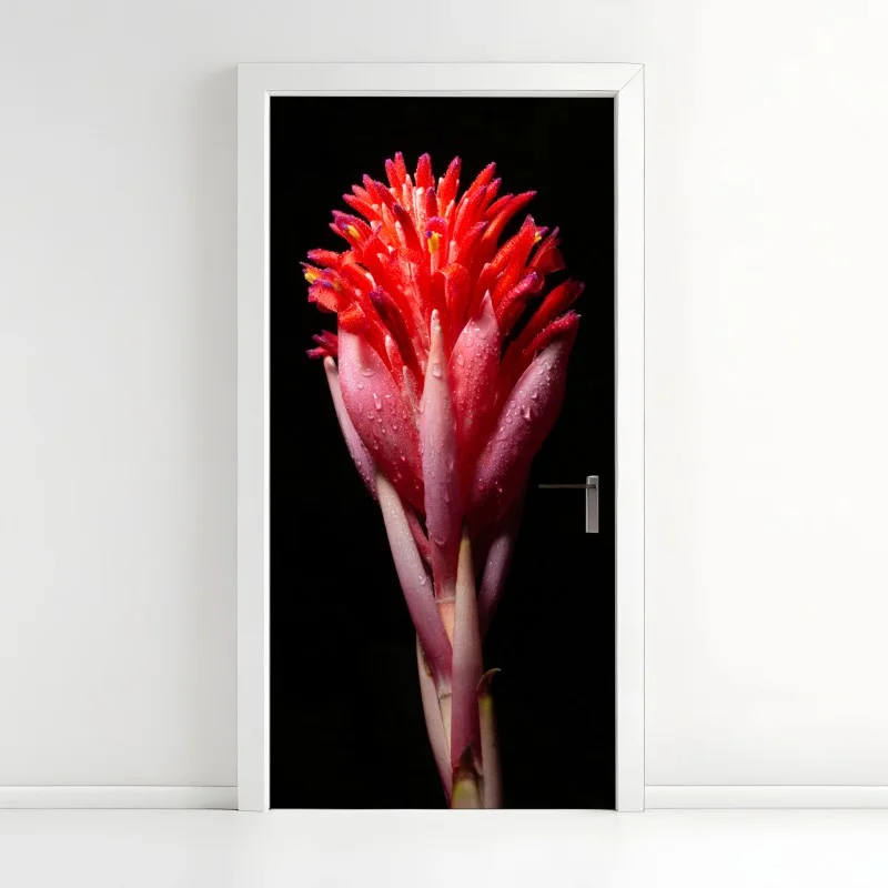Door sticker vibrant pink bloom on black background