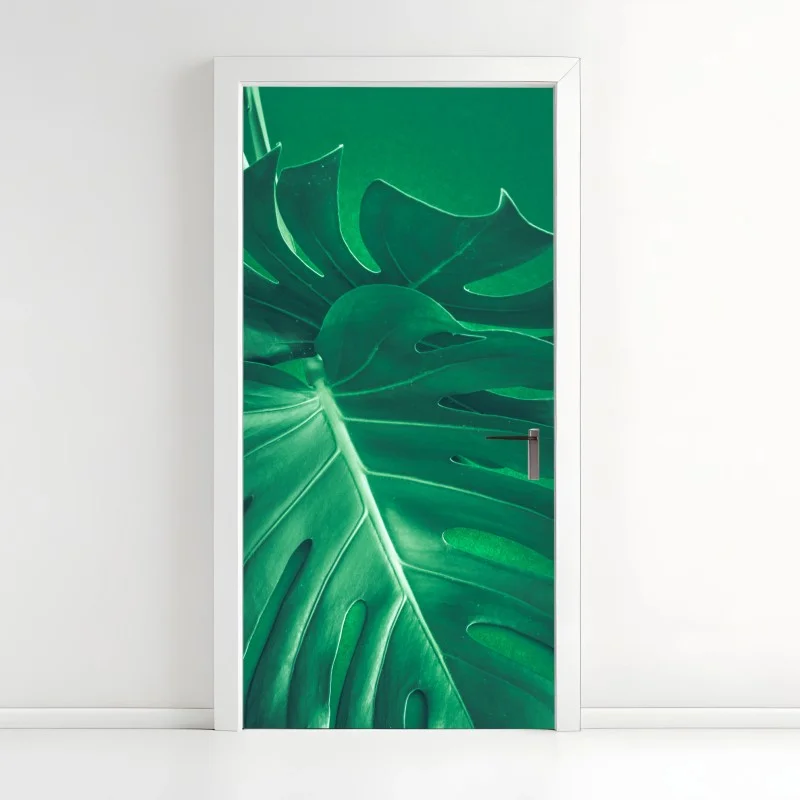 Door sticker lush monstera leaf close-up