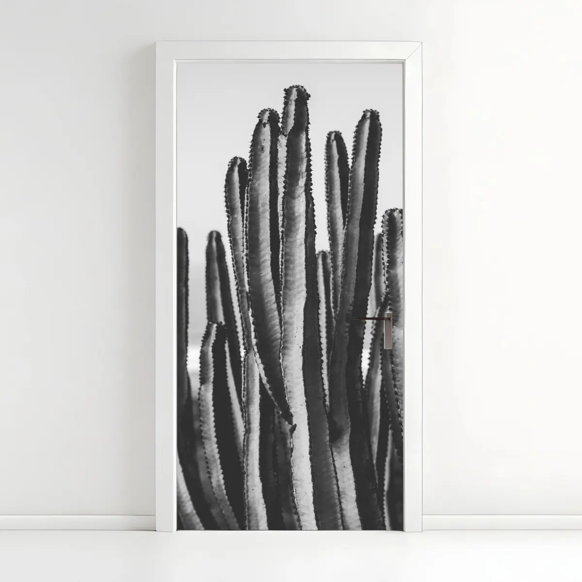 Door sticker monochrome cactus close-up • Wallissimo® Door sticker monochrome cactus close-up • Wallissimo®