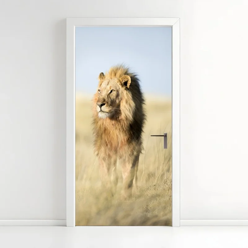Door sticker majestic African lion in grassland