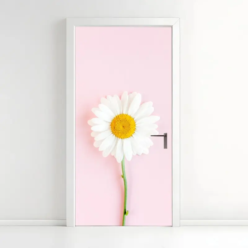Door sticker white daisy on pastel pink background