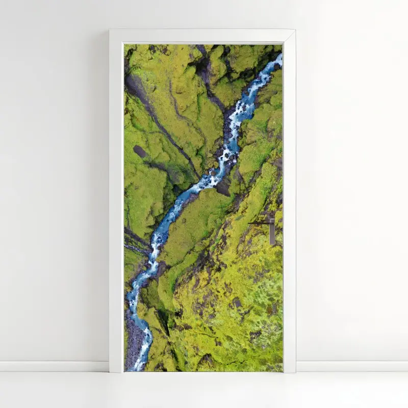 Door sticker aerial river through mossy canyon