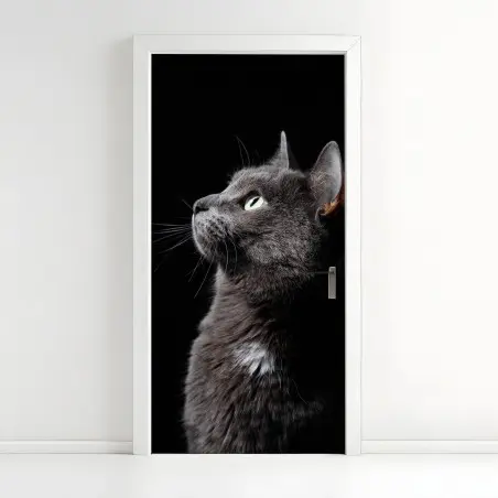 Door sticker elegant gray cat portrait • Wallissimo®