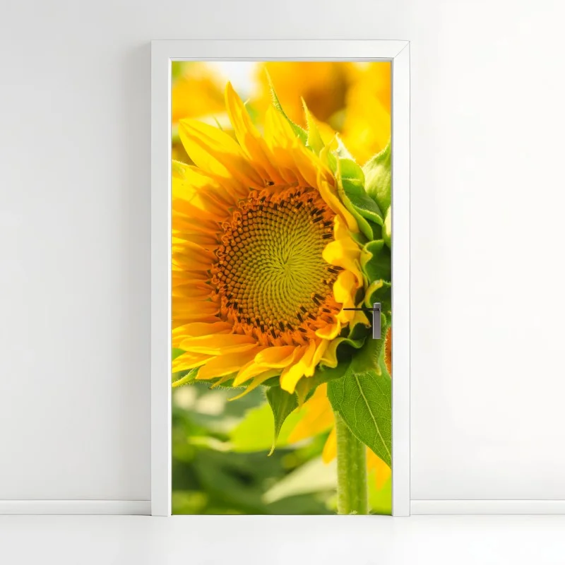 Door sticker sunflower bloom close-up