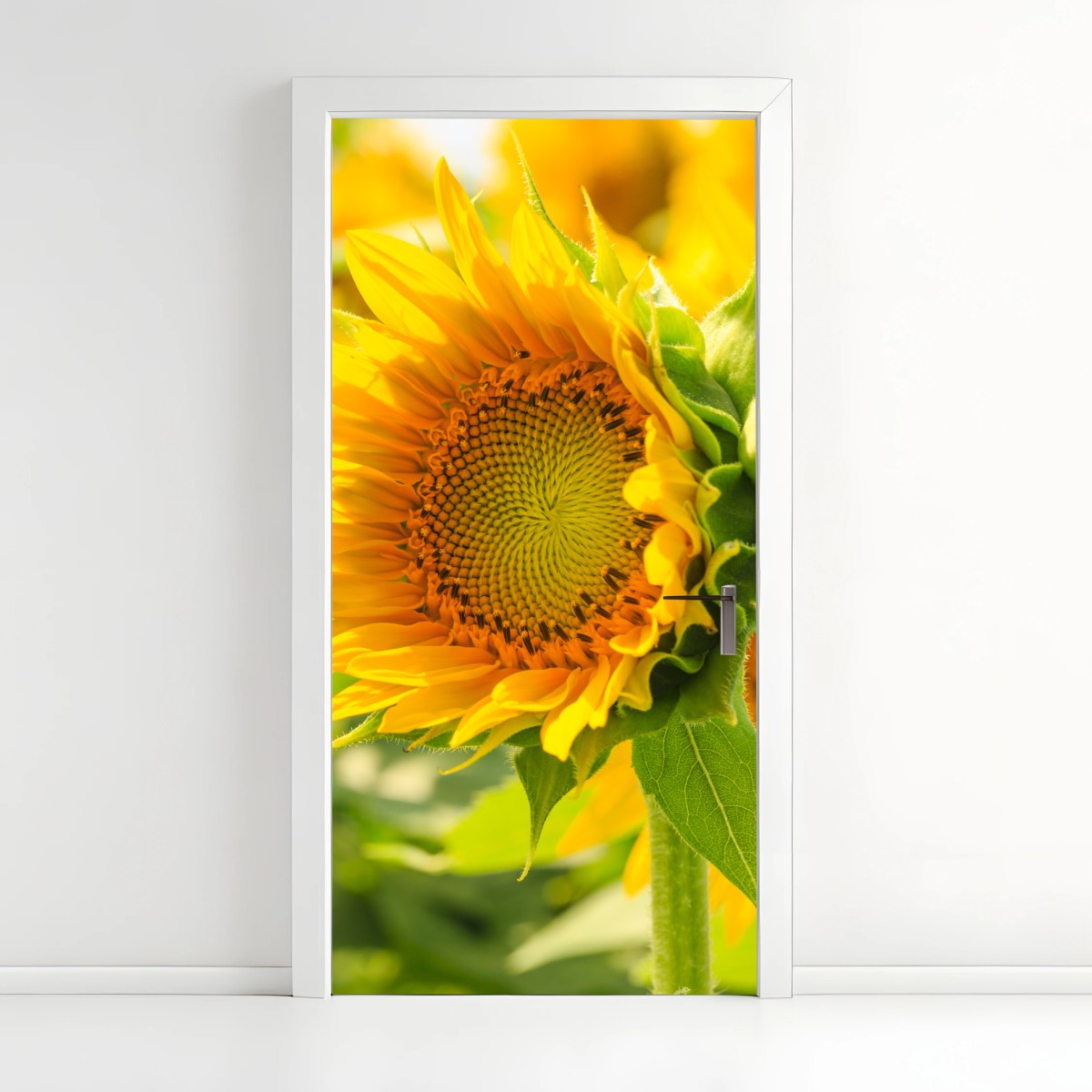 Door sticker sunflower bloom close-up • Wallissimo®
