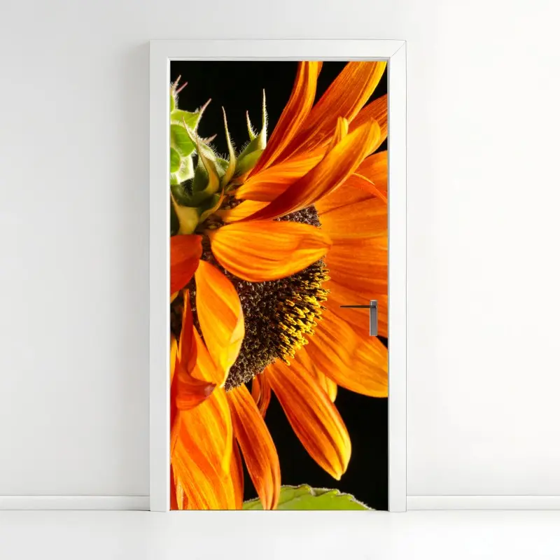 Door sticker vibrant orange sunflower close-up