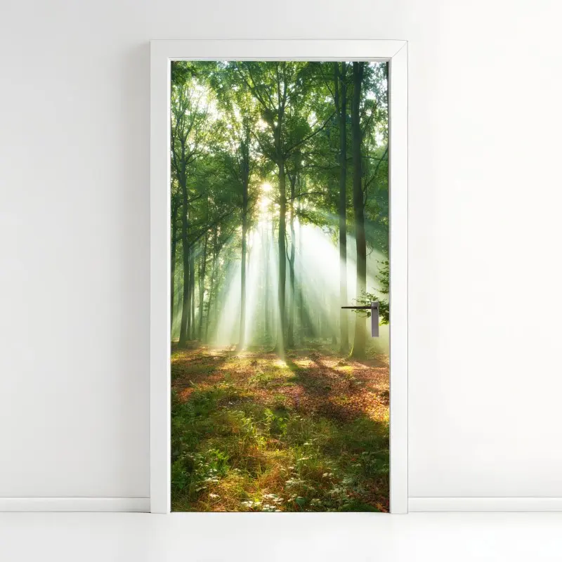 Door sticker morning light in the forest