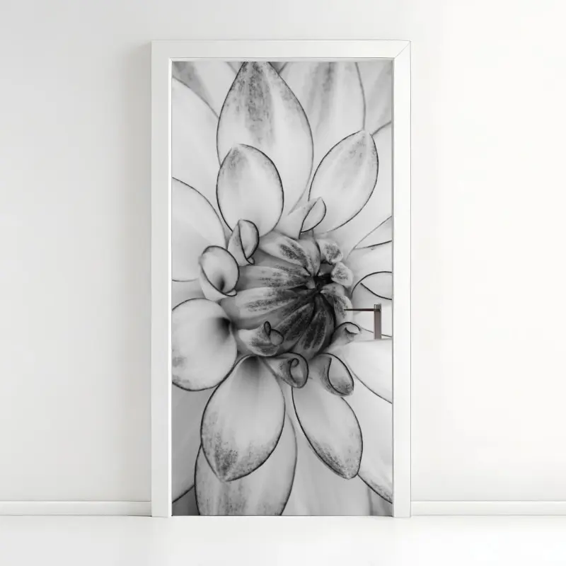 Door sticker monochrome dahlia close-up