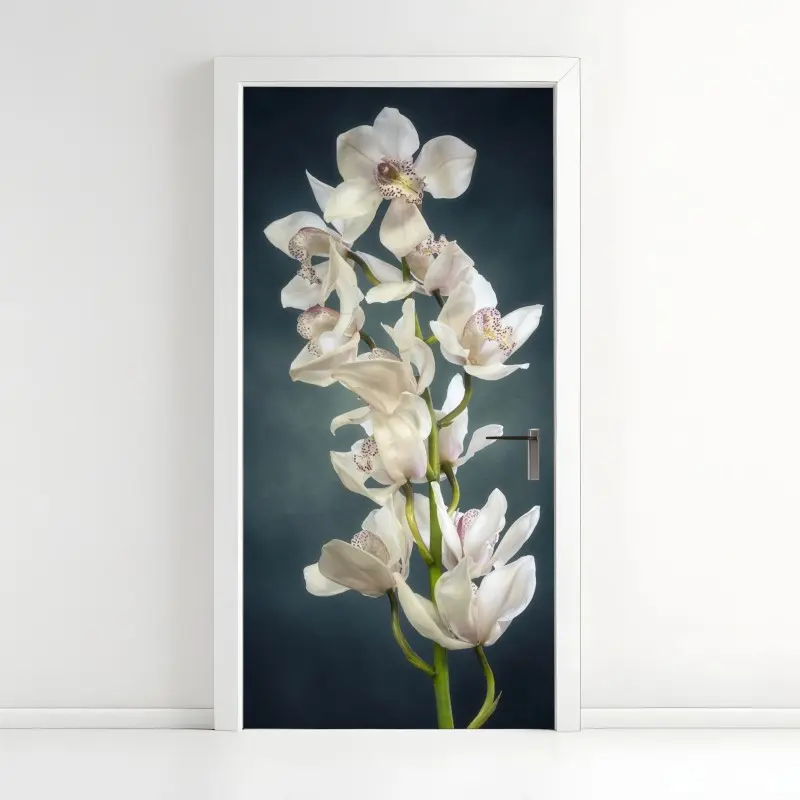 Door sticker delicate white orchids on teal background