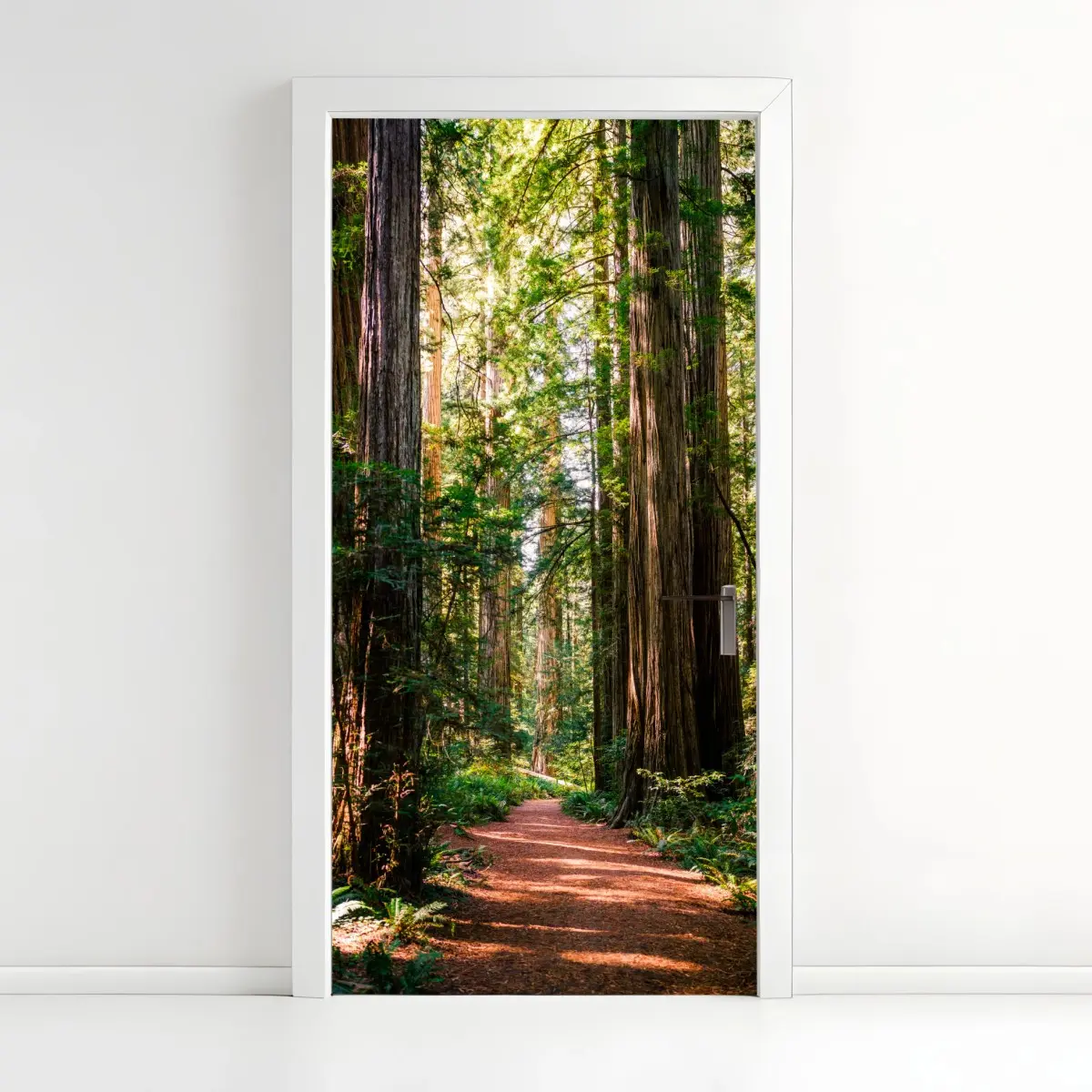 Door sticker majestic redwood forest trail ⁕ Wallissimo® Door sticker majestic redwood forest trail ⁕ Wallissimo®