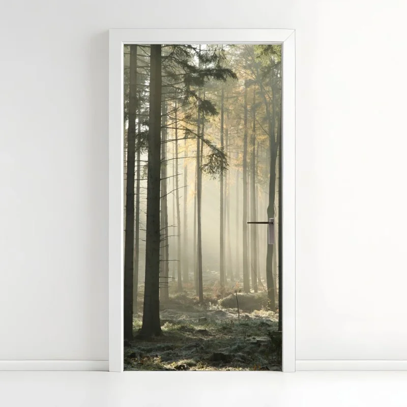 Door sticker misty morning forest with sun rays