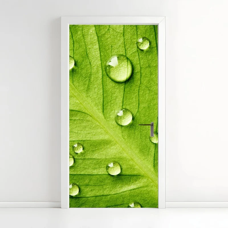 Door sticker fresh green leaf with water droplets