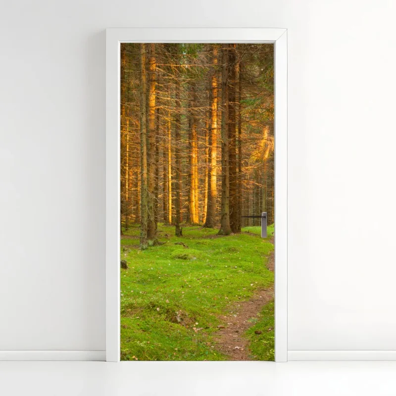 Door sticker golden light in mossy pine forest