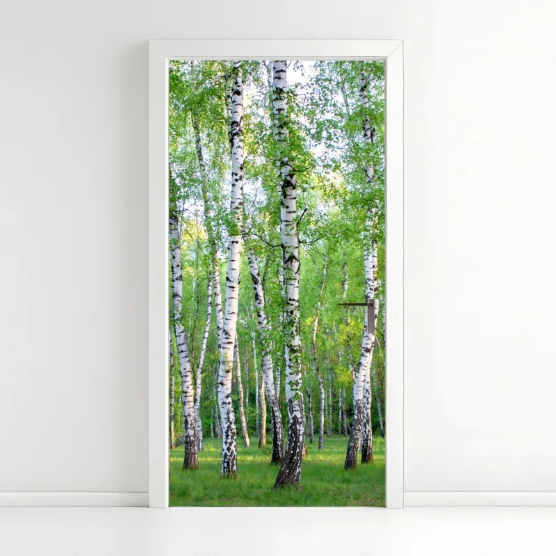 Door sticker serene birch grove in summer