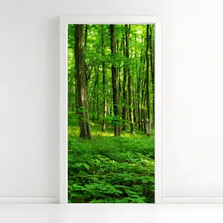 Door sticker sunlit green forest in spring • Wallissimo®