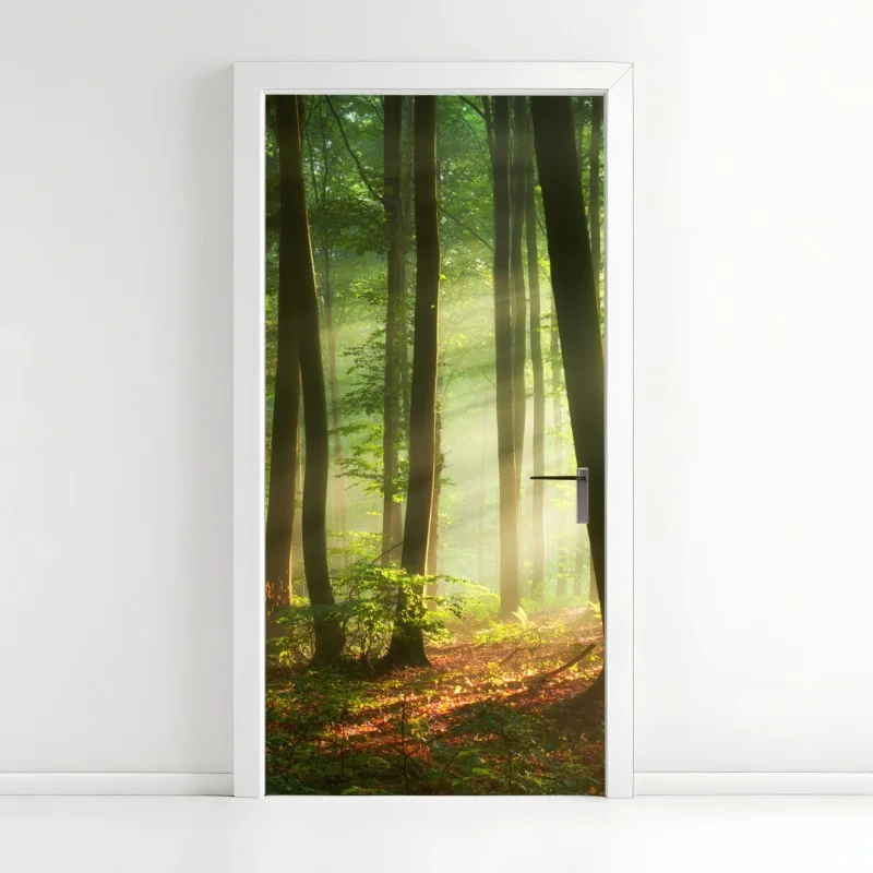 Door sticker sunlit morning in the forest