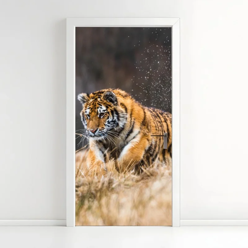Door sticker Siberian tiger running through grass