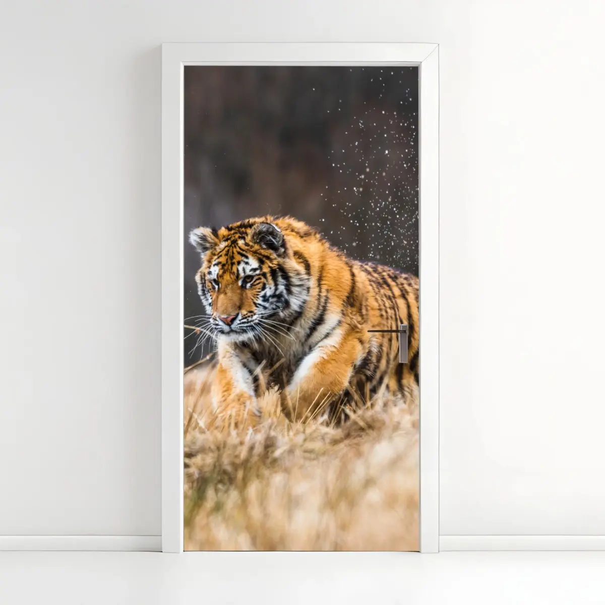 Door sticker Siberian tiger running through grass • Wallissimo® Door sticker Siberian tiger running through grass • Wallissimo®