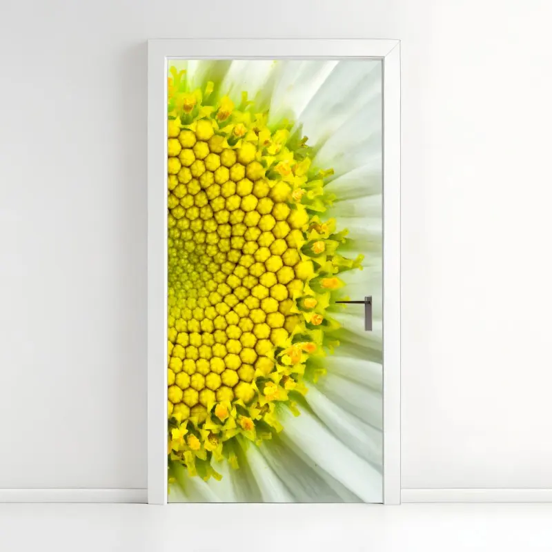 Door sticker shasta daisy macro spiral