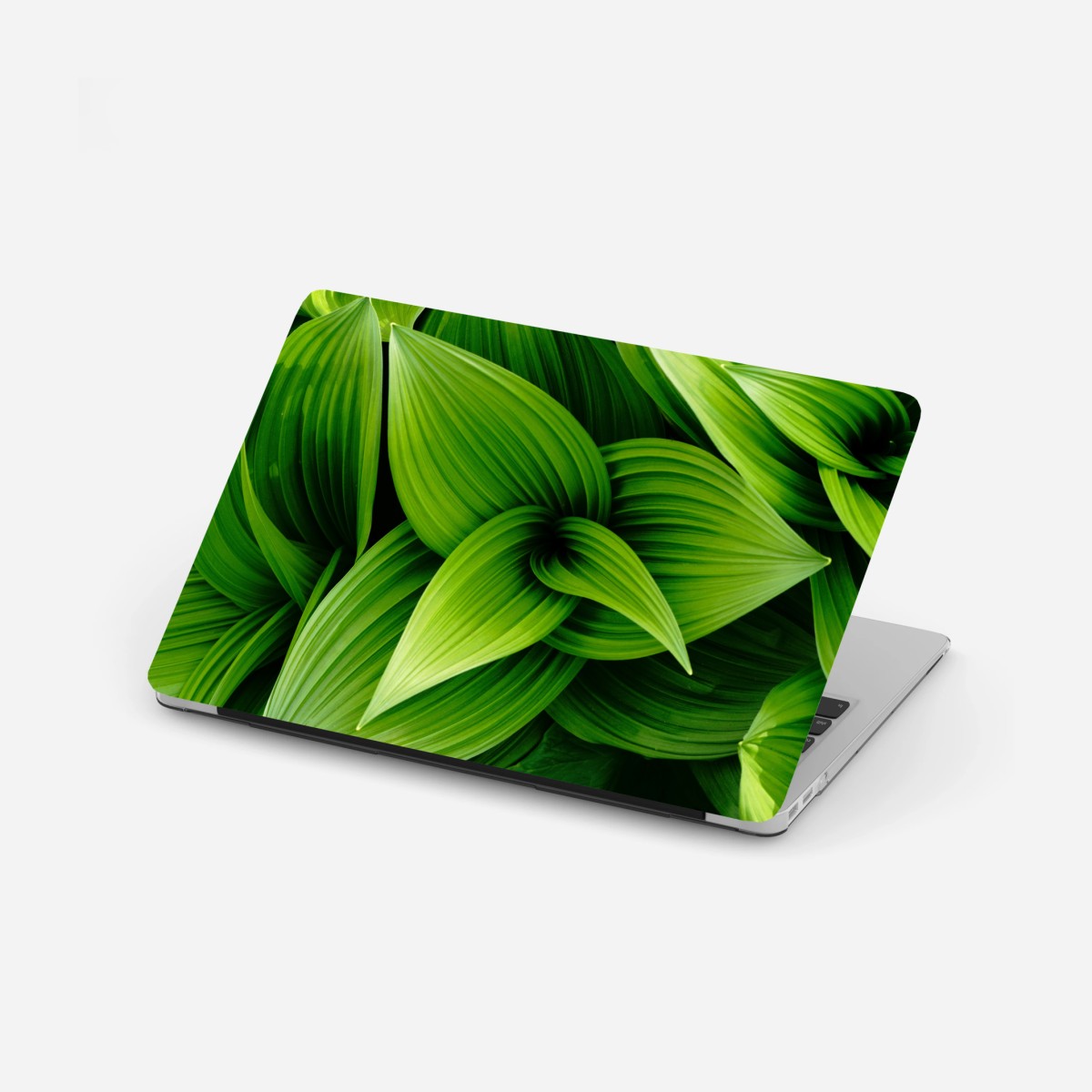 Laptop sticker lush green leaves pattern • Wallissimo® Laptop sticker lush green leaves pattern • Wallissimo®