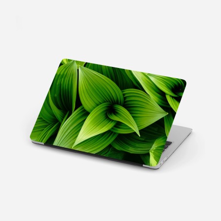 Laptop sticker lush green leaves pattern • Wallissimo®