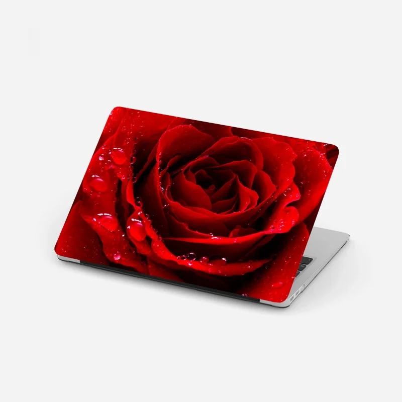 Laptop sticker vibrant red rose close-up