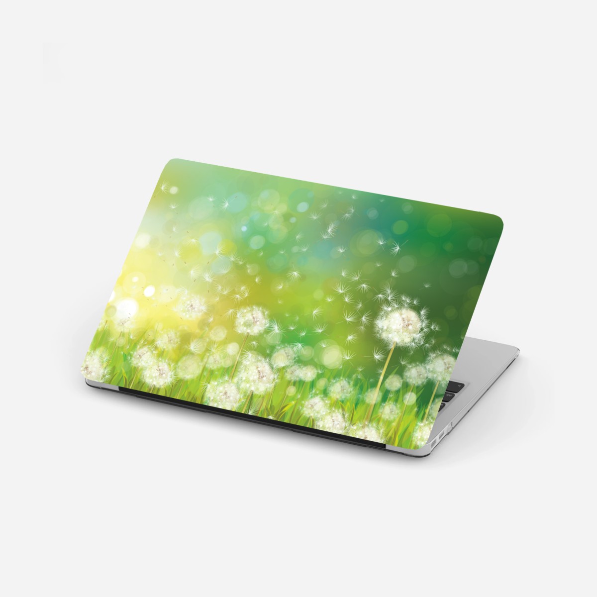Laptop sticker spring dandelion meadow • Wallissimo® Laptop sticker spring dandelion meadow • Wallissimo®