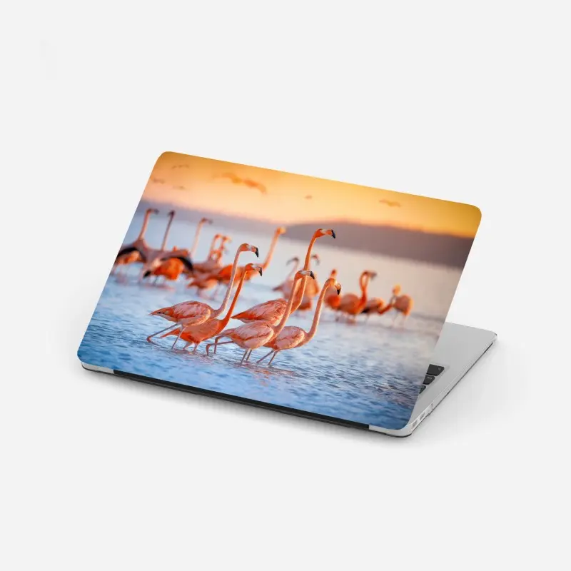 Laptop sticker pink flamingos at sunset