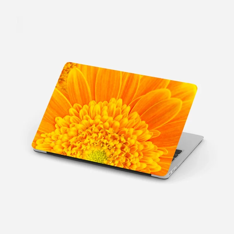 Laptop sticker vibrant orange gerbera bloom close-up