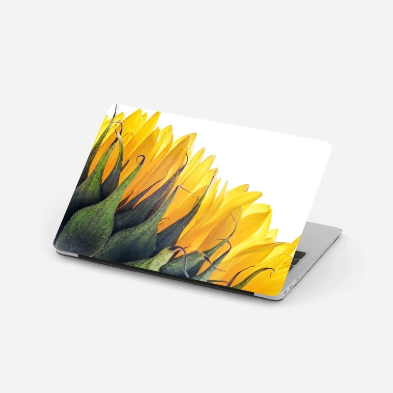 Laptop sticker sunflower corner on white background