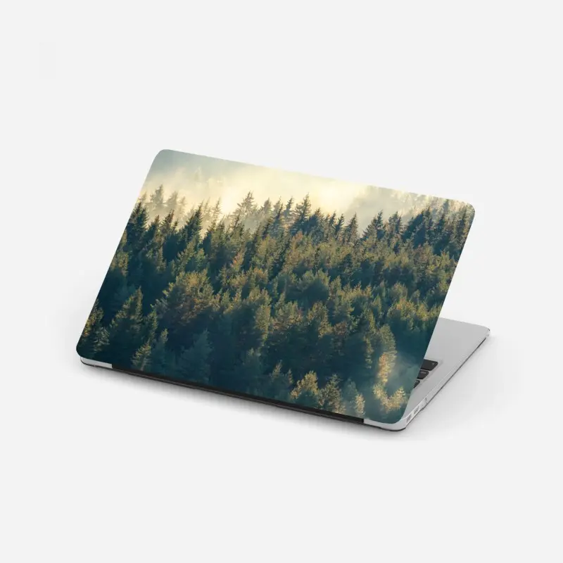 Laptop sticker misty pine forest at dawn