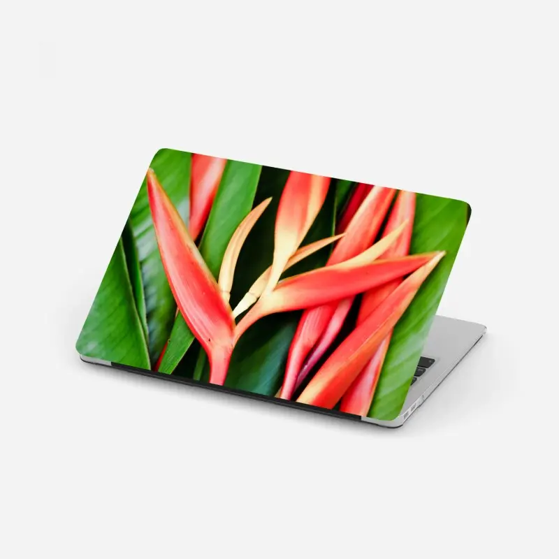 Laptop sticker • Wallissimo®