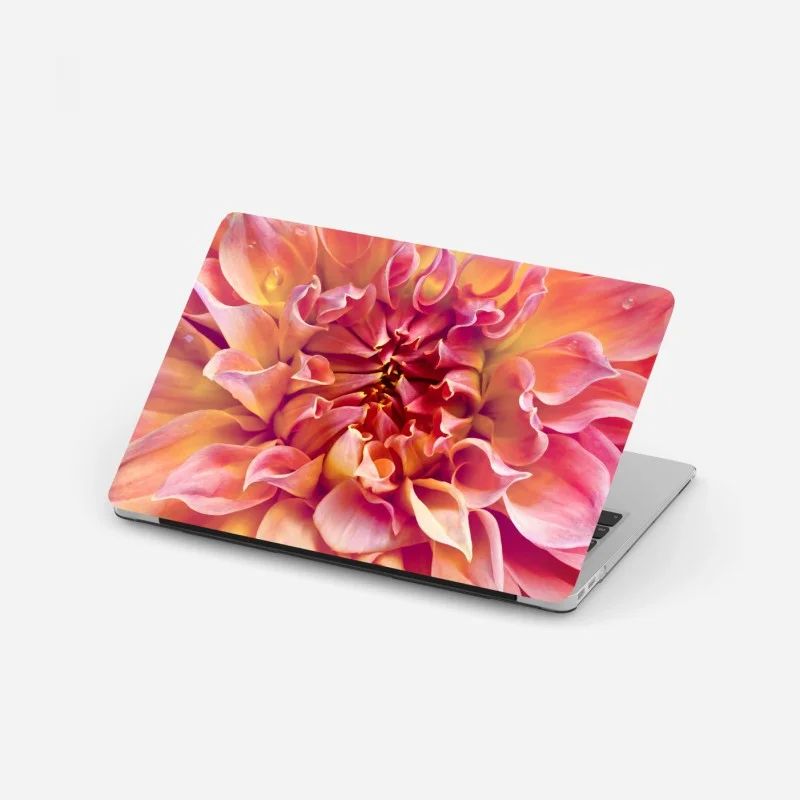 Laptop sticker pink dahlia bloom close-up