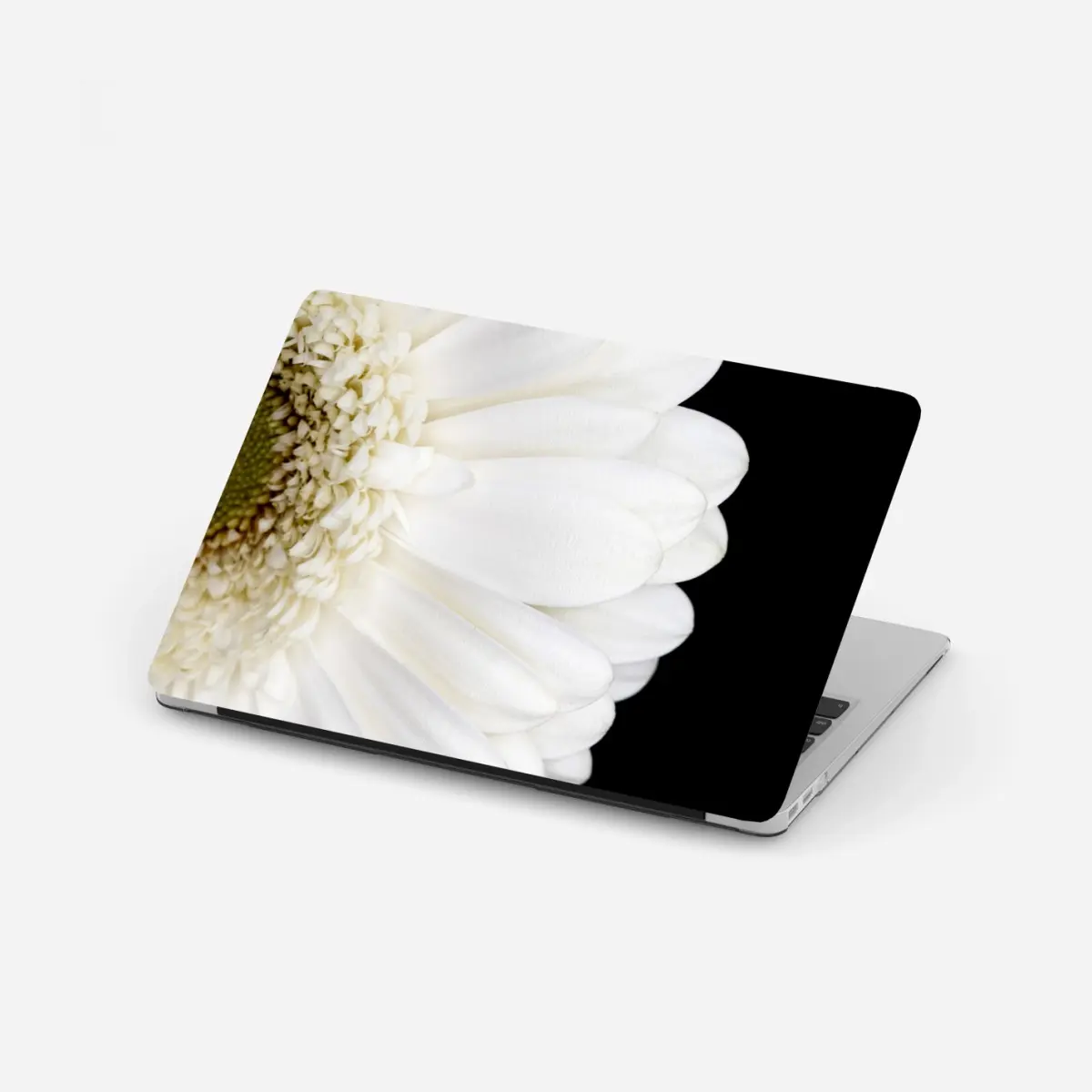 Laptop sticker white gerbera on black minimalist close-up • Wallissimo® Laptop sticker white gerbera on black minimalist close-up • Wallissimo®