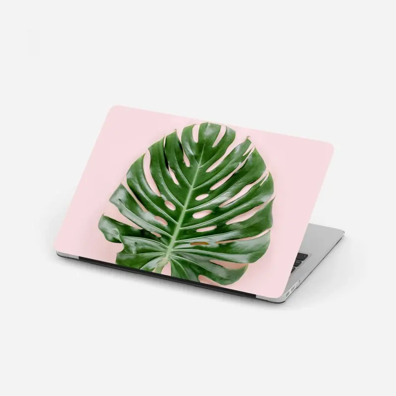 Laptop sticker monstera leaf on pastel pink background