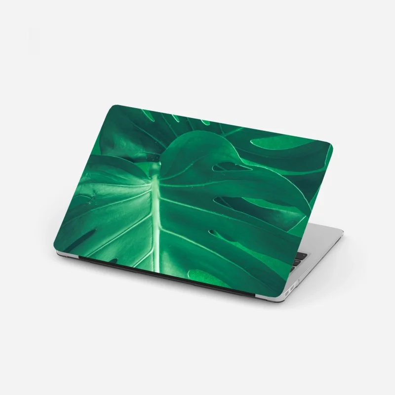 Laptop sticker lush monstera leaf close-up