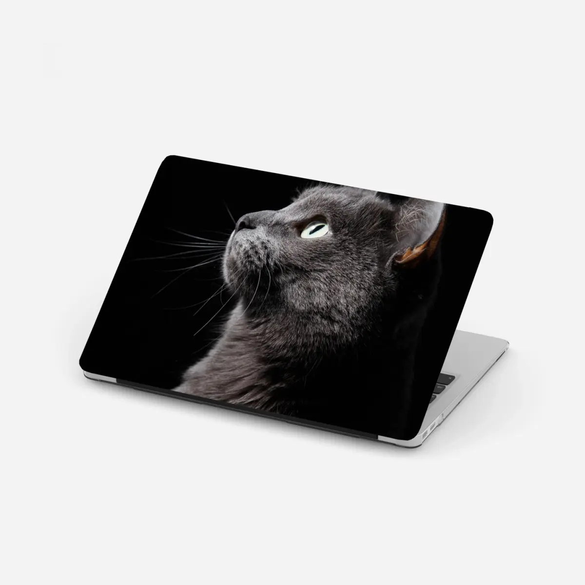 Laptop sticker elegant gray cat portrait • Wallissimo® Laptop sticker elegant gray cat portrait • Wallissimo®